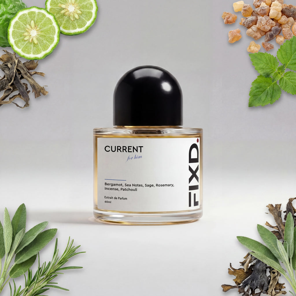 CURRENT – perfume dupe inspired by Acqua di Giò Profumo by Giorgio Armani | FIXD Fragrances Egypt
