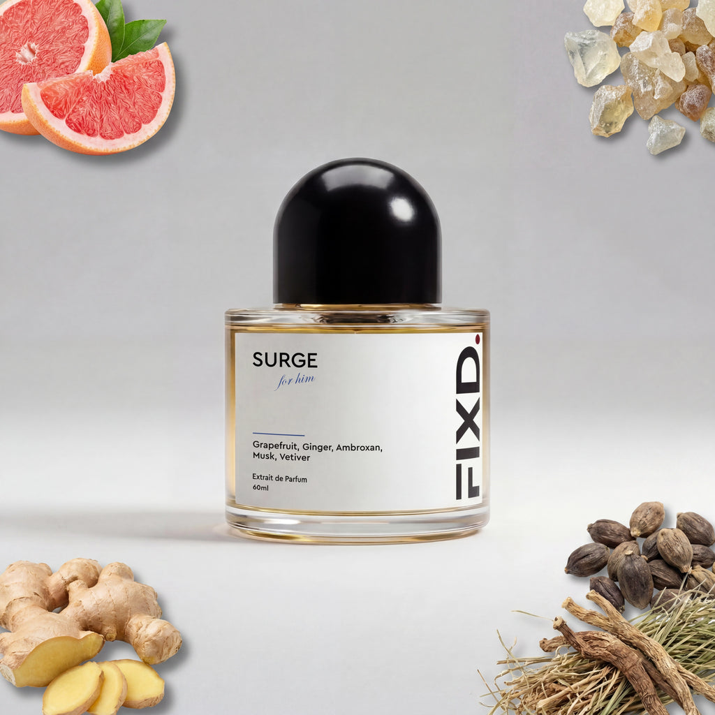 SURGE – perfume dupe inspired by Tygar (Le Gemme) by Bvlgari | FIXD Fragrances Egypt